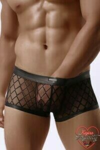 13831_300_boxer_noir_transparent.jpg