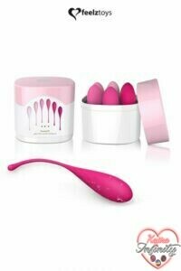 15785_300_kit_de_musculation_pelvien_femmefit.jpg
