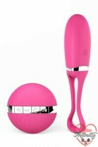 16402_300_oeuf_vibrant_telecommande_secret_delight.jpg