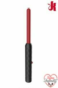 16755_300_cravache_electrique_the_stinger-kink.jpg