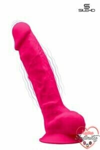 17509_300_vibromasseur_double_densite_rose_20_cm-silexd.jpg