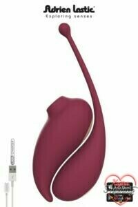 17620_300_oeuf_vibrant_et_stimulateur_clitoridien_connectes-inspiration.jpg