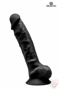 18658_300_gode_double_densite_noir_20_cm-silexd.jpg