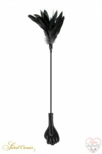 18681_300_mini_cravache_main_avec_plumes_noires-sweet_caress.jpg