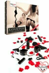 9910_300_lovetoy_starter_kit.jpg